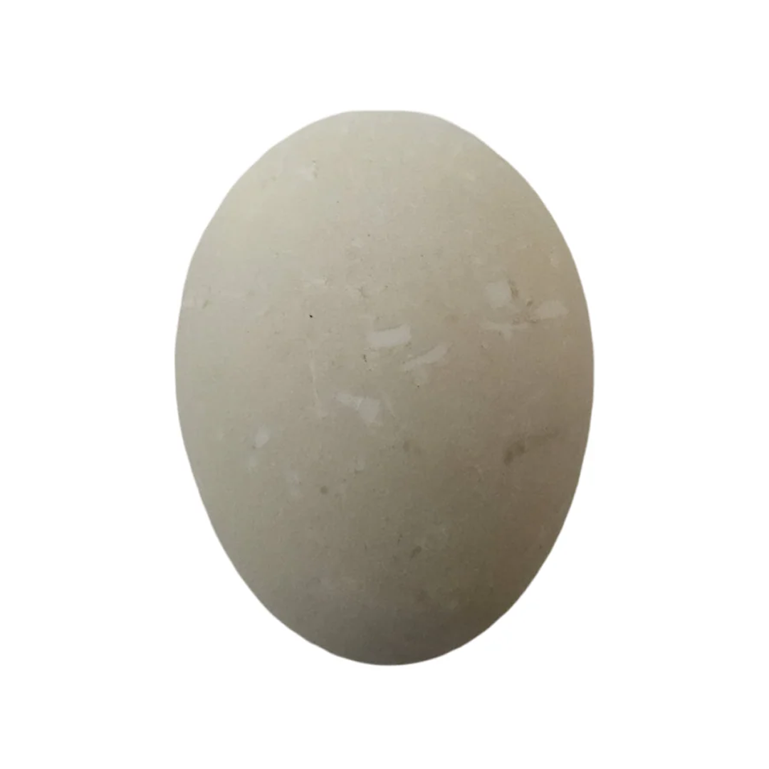 Cooked Balut (1 Pc)