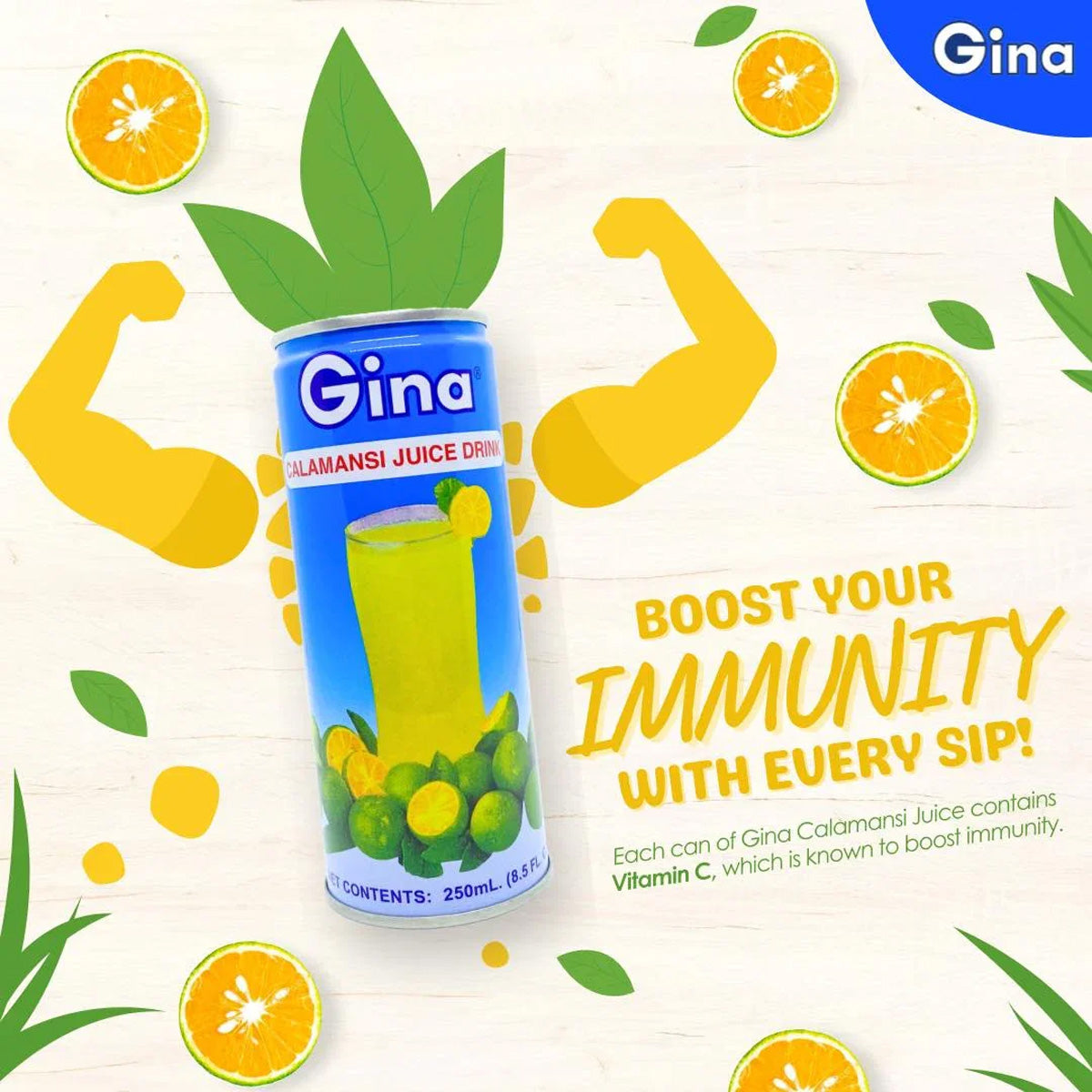 Gina Calamansi Juice Drink 250ml