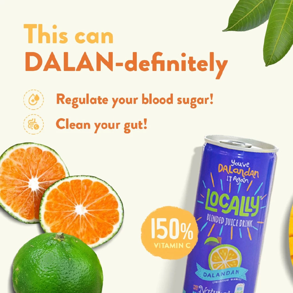 Locally Blended Juice Drink Dalandan 240ml